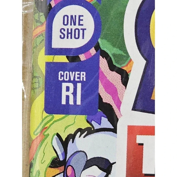 SONIC THE HEDGEHOG'S 900TH ADVENTURE - 1:50 GRAY VARIANT - 2023 IDW NM! - Picture 4 of 8